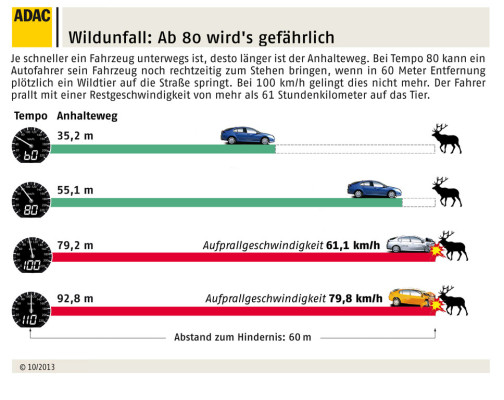 Wildunfall-Risiko steigt
