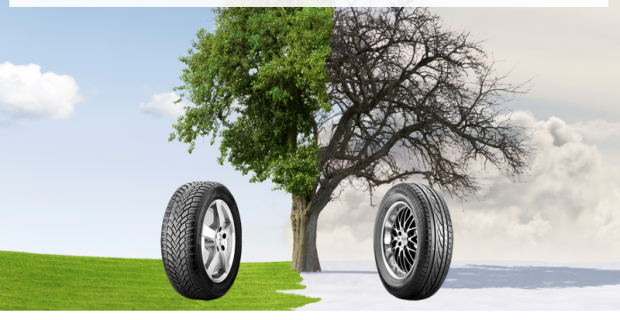 auto.de-Weihnachtsgewinnspiel: Gutschein von ReifenDirekt.de