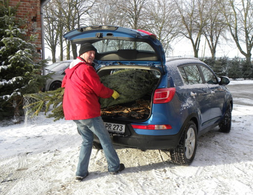 Ratgeber: So kommt der Weihnachtsbaum sicher ans Ziel