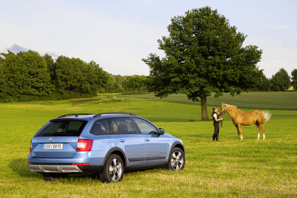 Skoda bleibt im Angriffsmodus