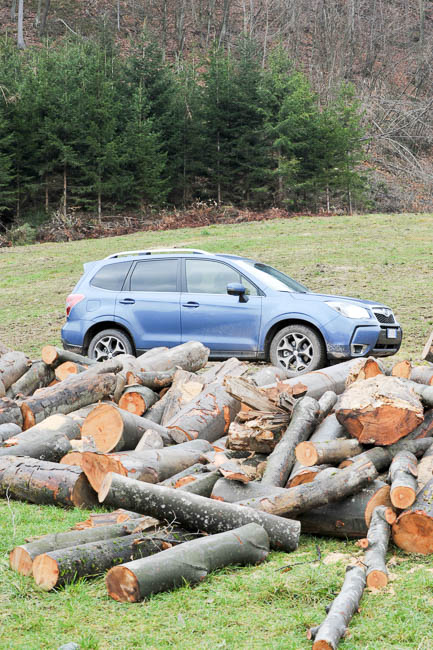 Der Forester hat ordentlich Platz. Bis zu 1.592 Litern fast sein variabler Gepäckraum