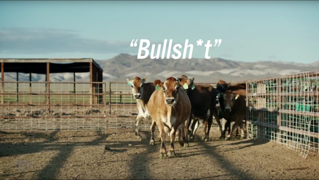 Kein Bullshit: Wasserstoff aus Kuhfladen