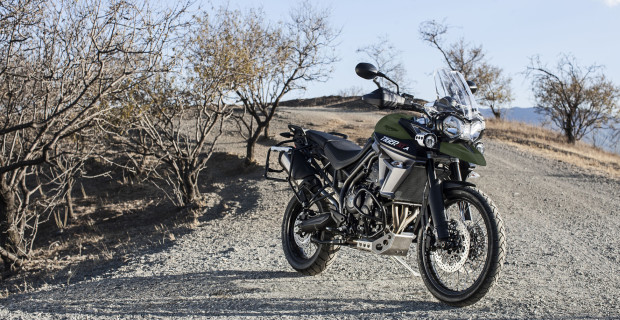 Triumph lässt zwei neue Tiger los