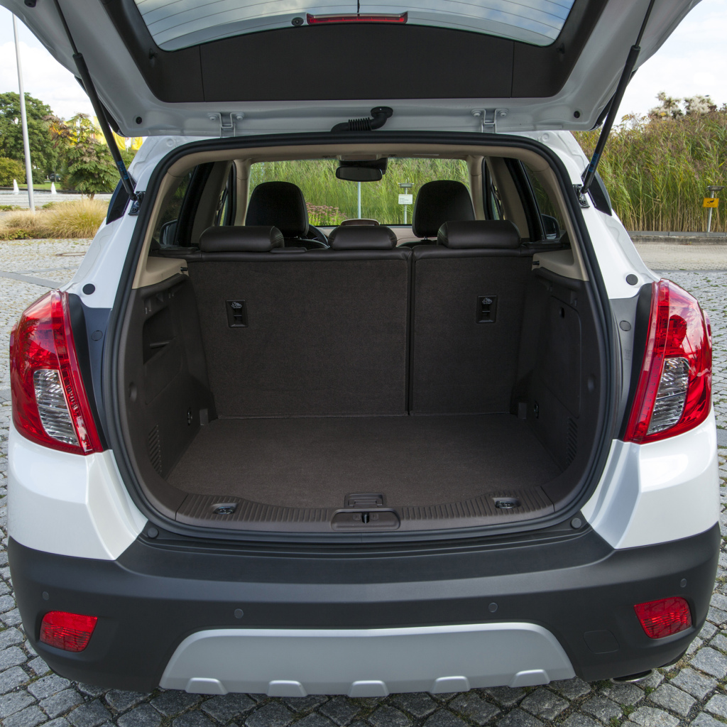 Die besten Autos für Hundebesitzer: So fühlen sich Vierbeiner wohl