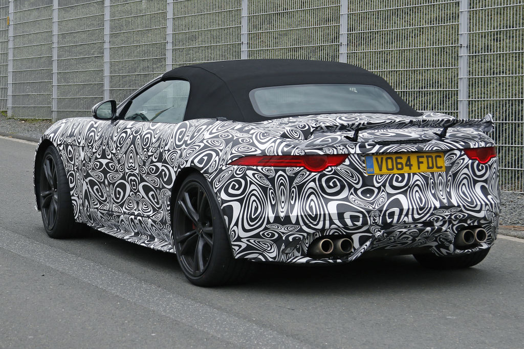 Optisch lässt sich die Jaguar-Verwandschaft nicht leugnen.