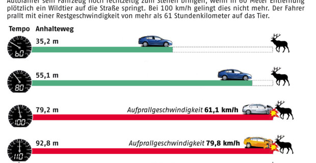 auto.de