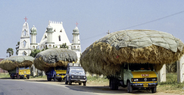 „Otto“ in Indien (2005)