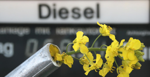 auto.de