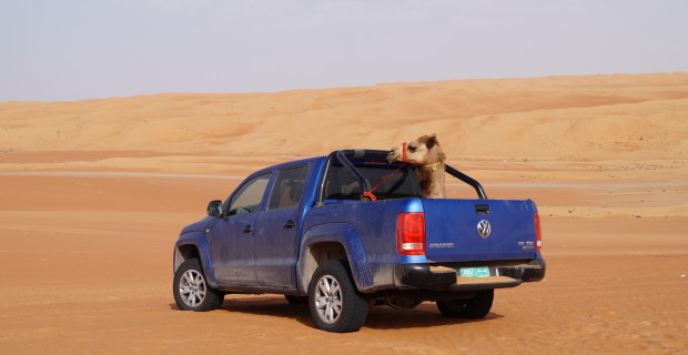 auto.de