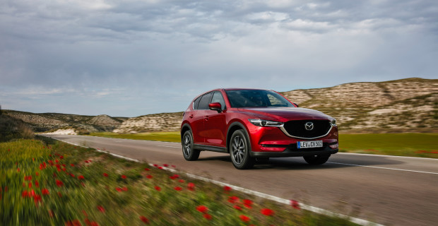 Der CX-5 ist flott, lädt aber nicht unbedingt zum Rasen ein. Dann hat man auch noch was von den Blümchen am Wegesrand.