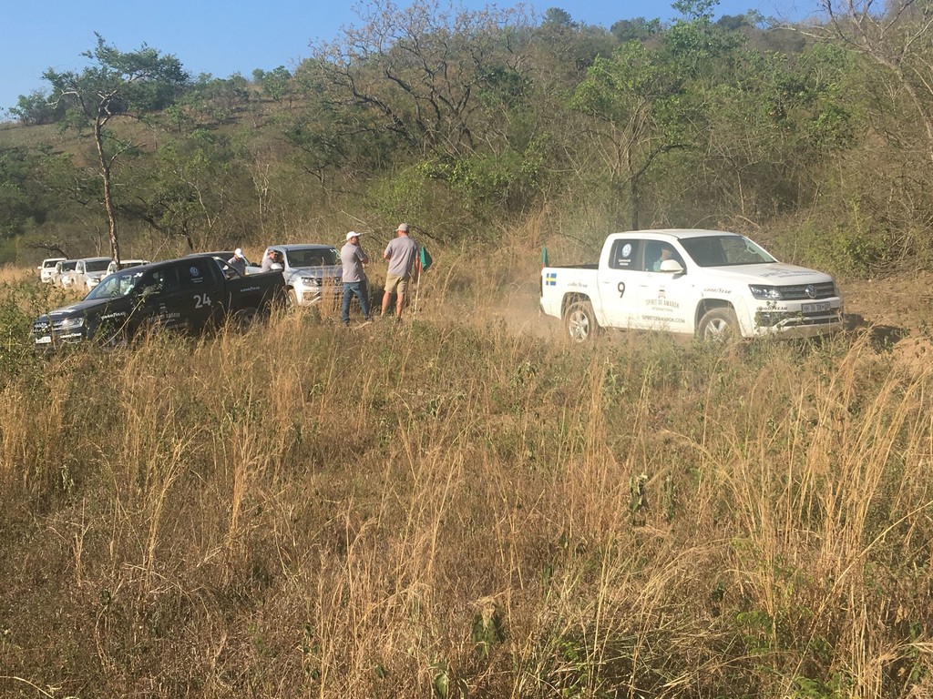 auto.de