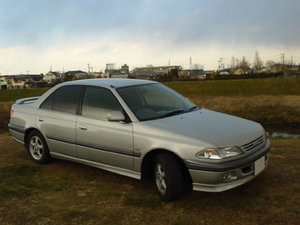 Carina