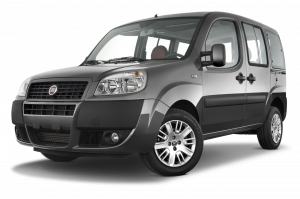 Fiat Doblo (263)