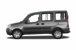 Fiat Doblo (263)
