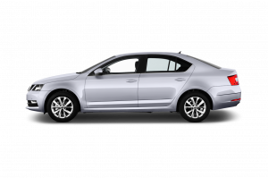 Skoda Octavia Kombi (500000)